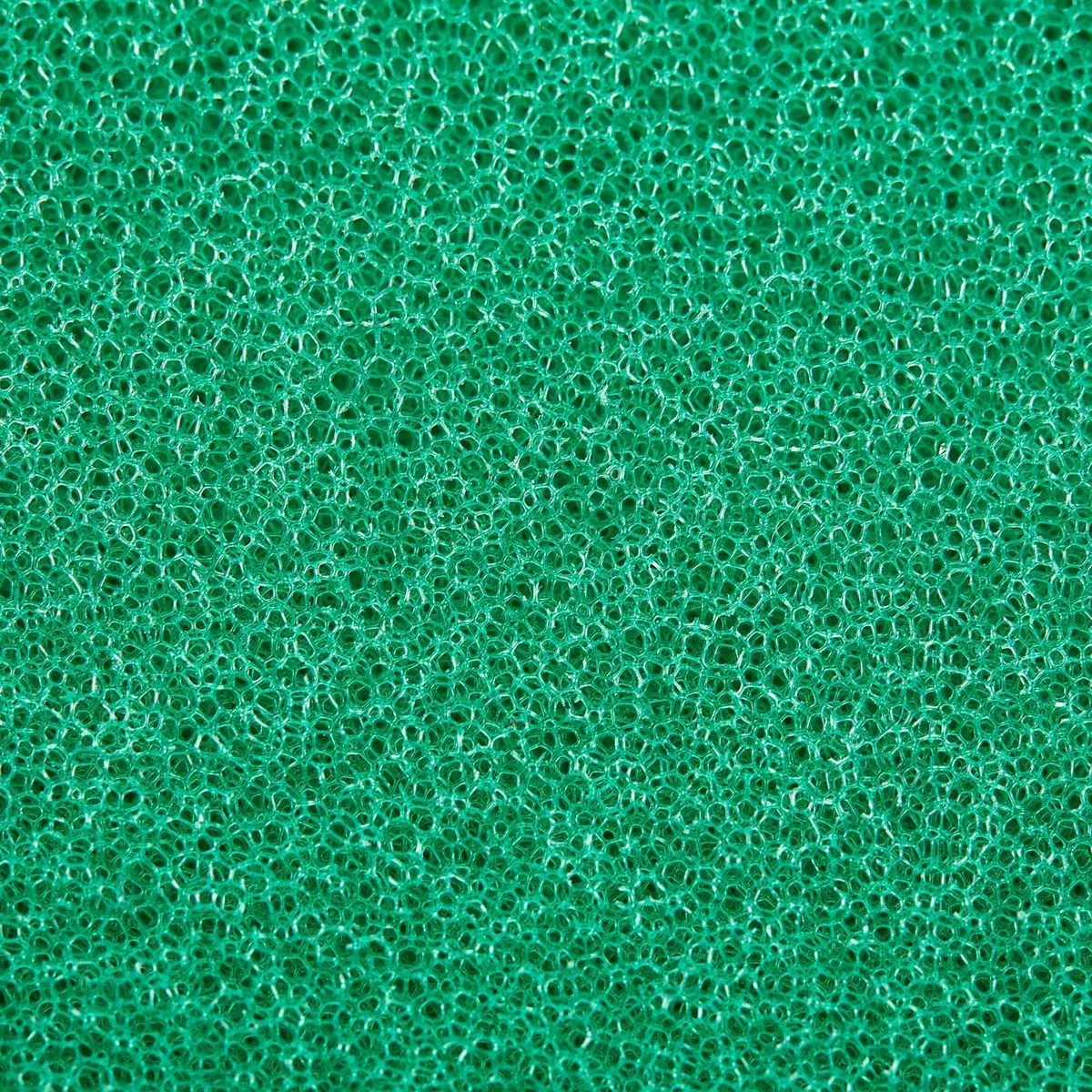 BAUER 6 in. Medium Foam Polishing Pad - Green 6 BAUER 6 in. Medium Foam Polishing Pad - Green - Image 6