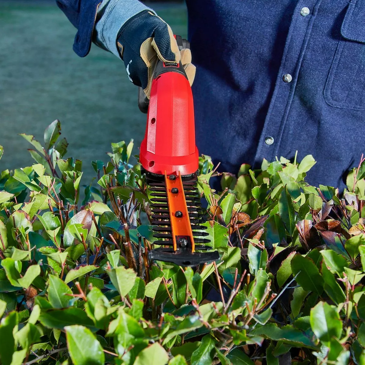 BAUER 20V Cordless Shear Shrubber – Tool Only 10 BAUER 20V Cordless Shear Shrubber – Tool Only - Image 10