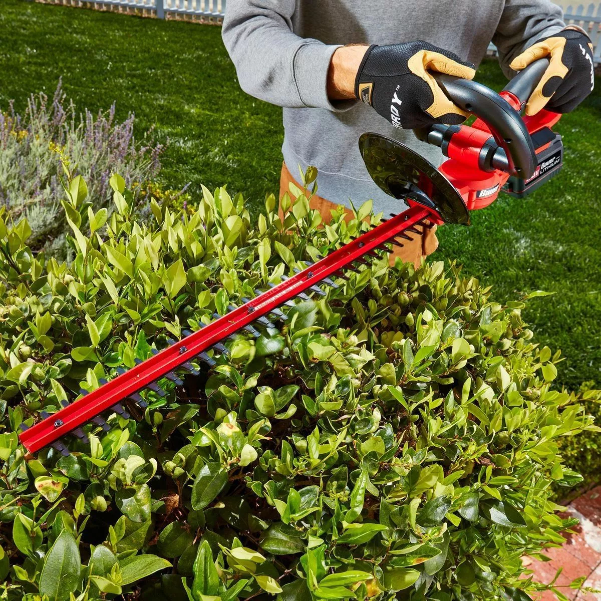 BAUER 20V Cordless Hedge Trimmer – Tool Only 14 BAUER 20V Cordless Hedge Trimmer – Tool Only - Image 14